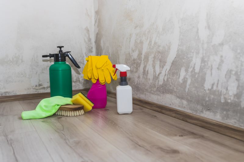 Basement Water Cleanup